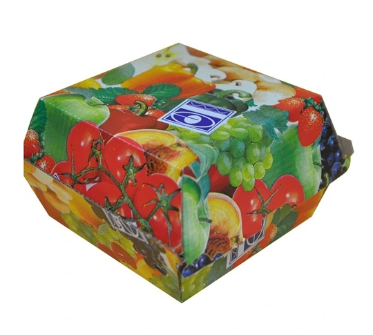 Custom printed cardboard food box with company logo